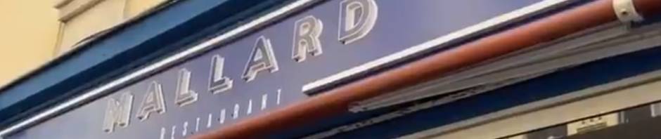 Sitemapcdatahttpsshopkedriinforestaurant Mallard Nicenull